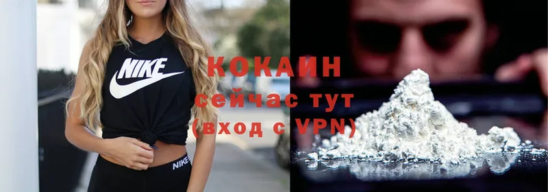 Cocaine Эквадор  как найти   Гудермес 